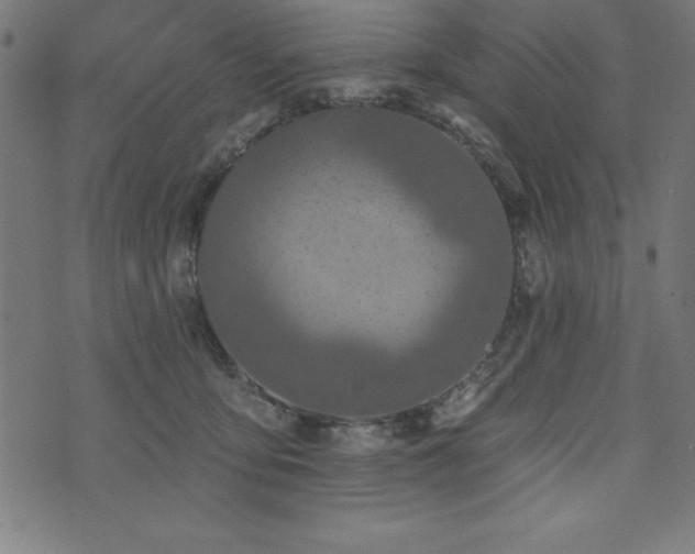 X0000073970419200608211235