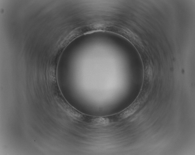 X0000073970421200608211235