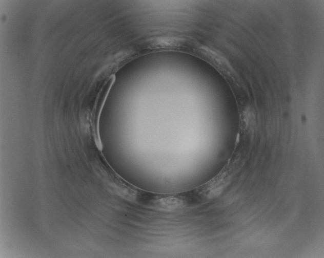 X0000073970423200608211235