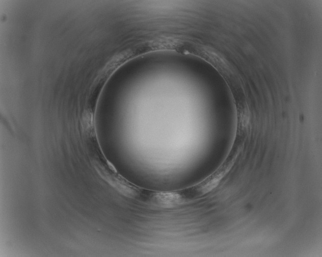 X0000073970429200608211234