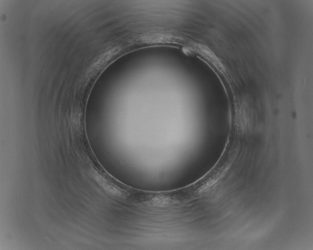 X0000073970441200608211234