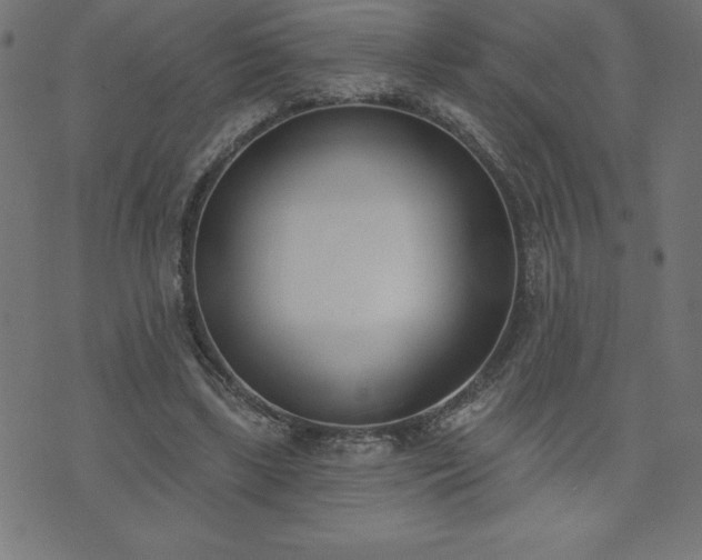 X0000073970443200608211234