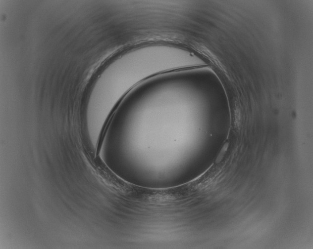 X0000073970444200608211234