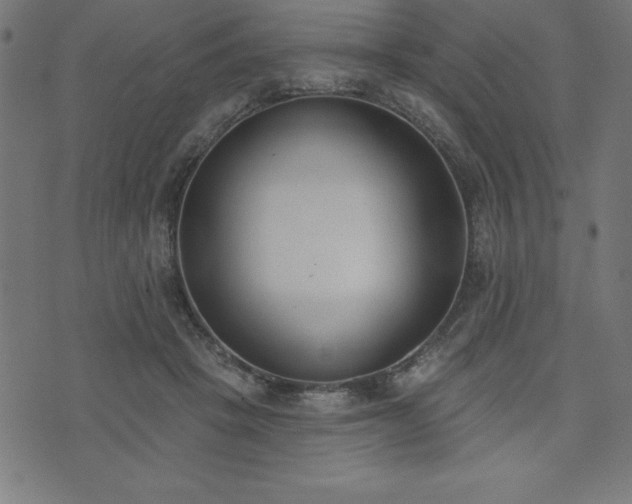X0000073970457200608211234