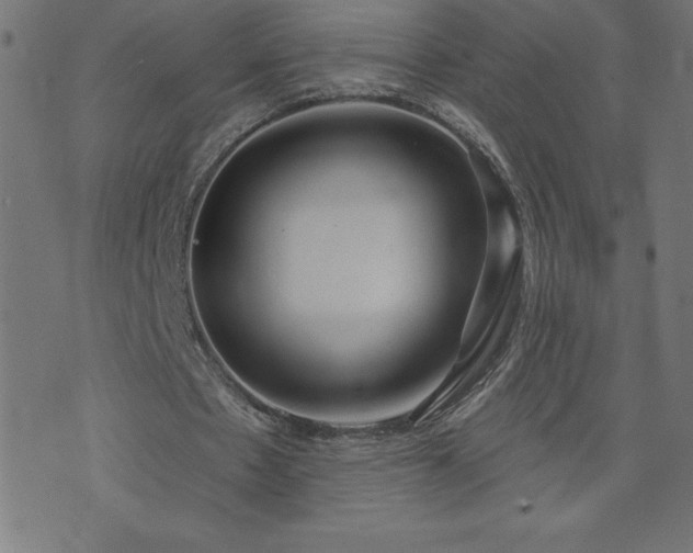 X0000073970481200608211234