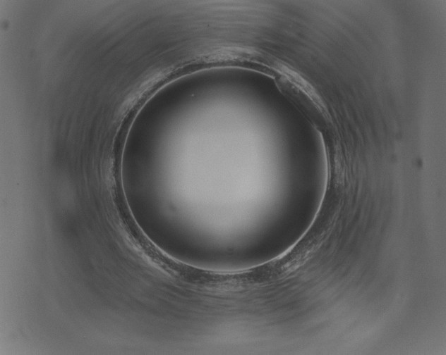 X0000073970485200608211234