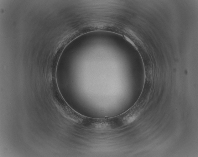 X0000073970500200608211233