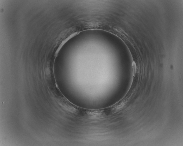 X0000073970516200608211233