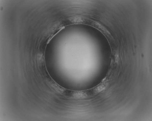 X0000073970521200608211233