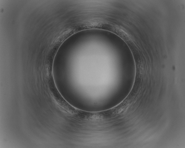 X0000073970546200608211232