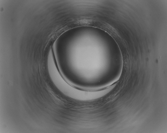 X0000073970552200608211232