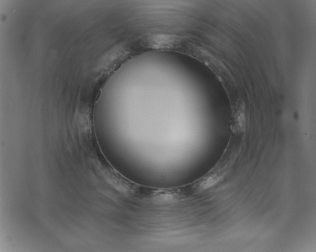 X0000073970620200608211231
