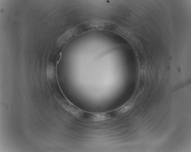 X0000073970623200608211231