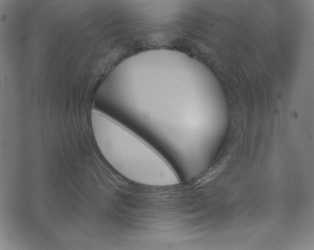 X0000073970624200608211231