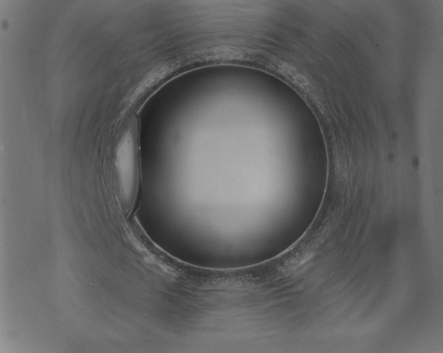 X0000073970625200608211231