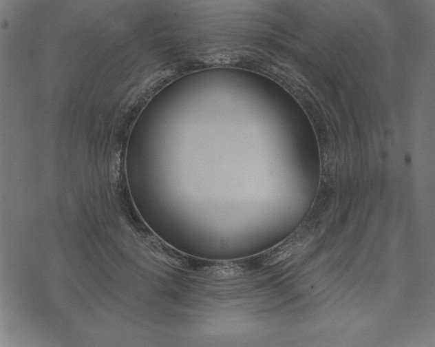 X0000073970652200608211231