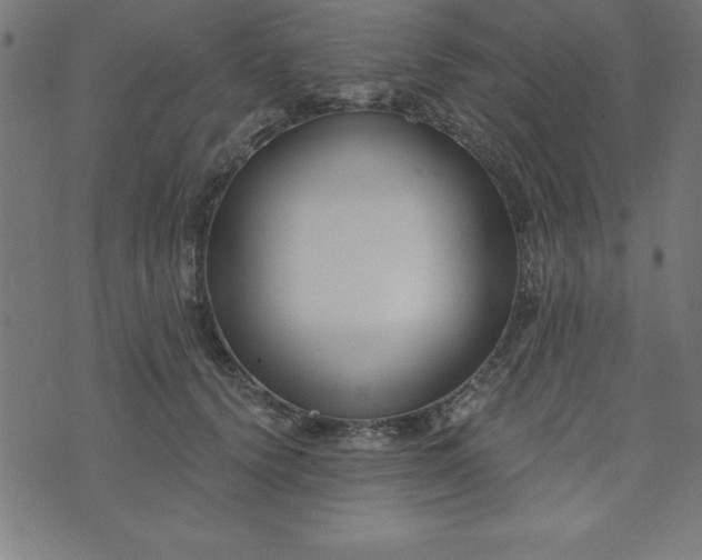 X0000073970656200608211231
