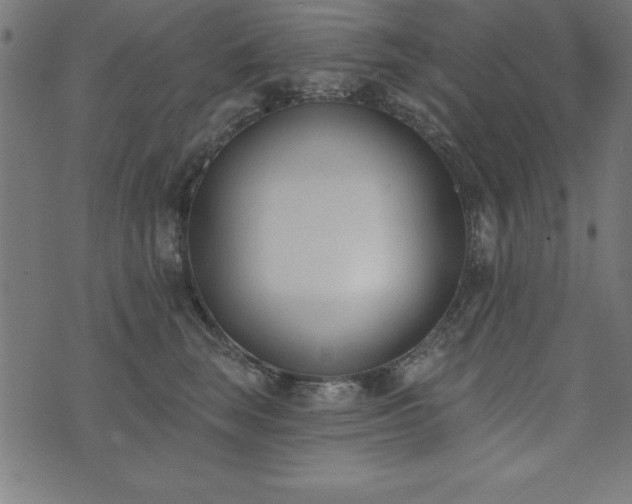 X0000073970663200608211231