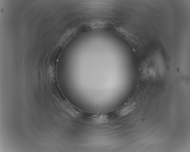 X0000073970667200608211231