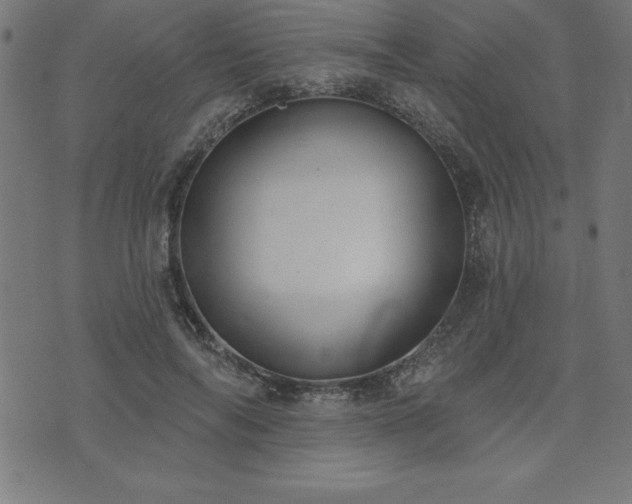 X0000073970694200608211230