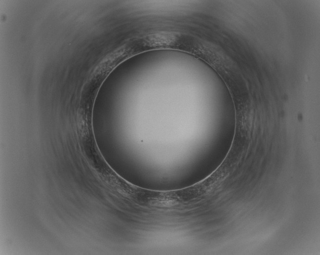X0000073970743200608211229