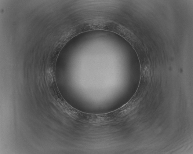 X0000073970772200608211229