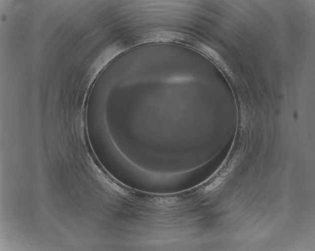 X0000073970802200608211228