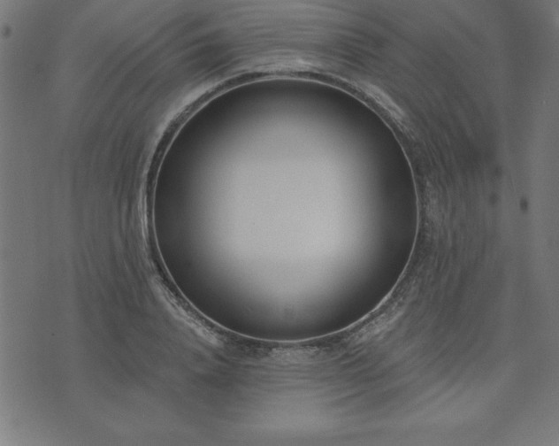 X0000073970840200608211228