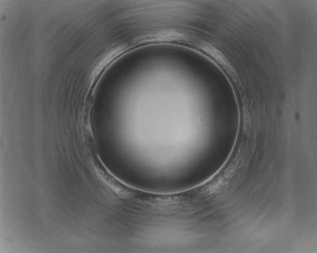 X0000073970850200608211228