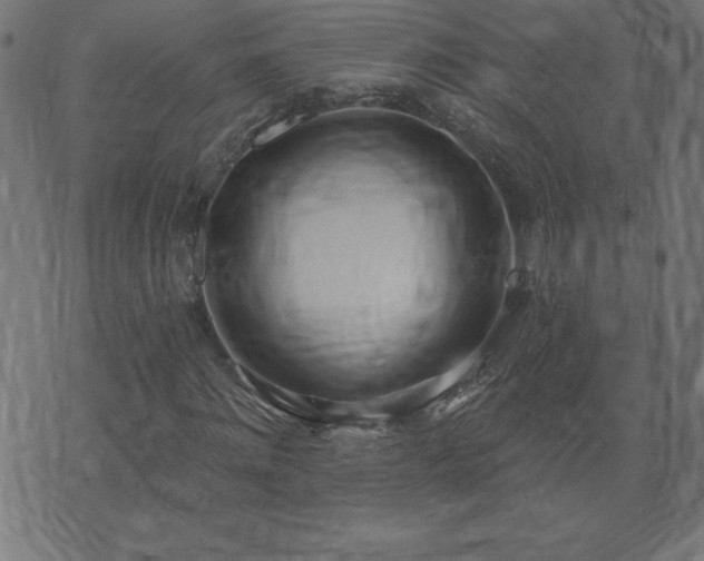 X0000073970868200608211227
