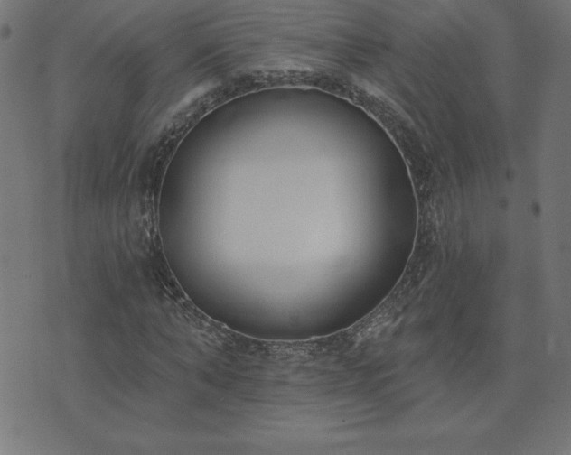 X0000073970870200608211227