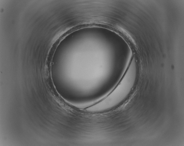 X0000073970876200608211227