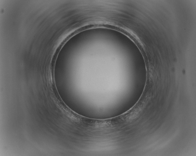 X0000073970887200608211227