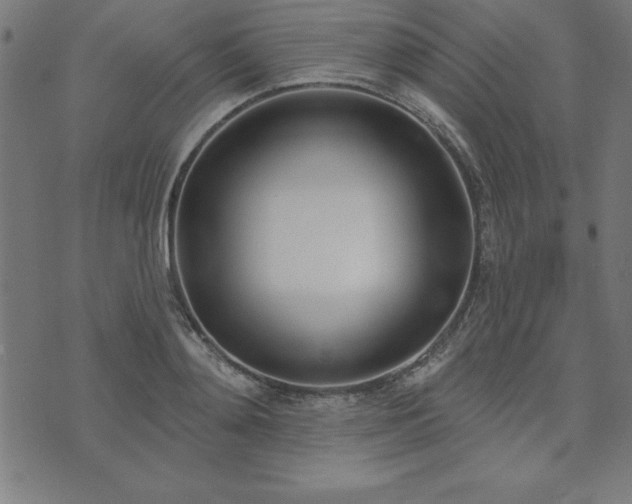 X0000073970892200608211227
