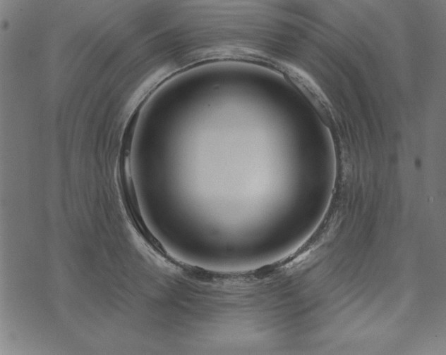X0000073970946200608211226
