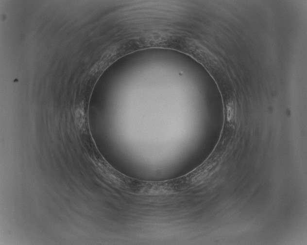 X0000073971011200608211224