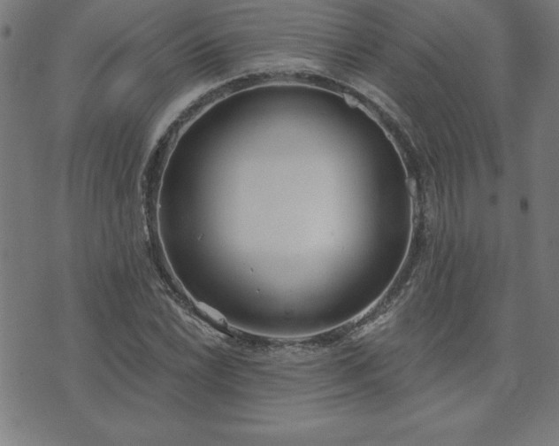 X0000073971022200608211225