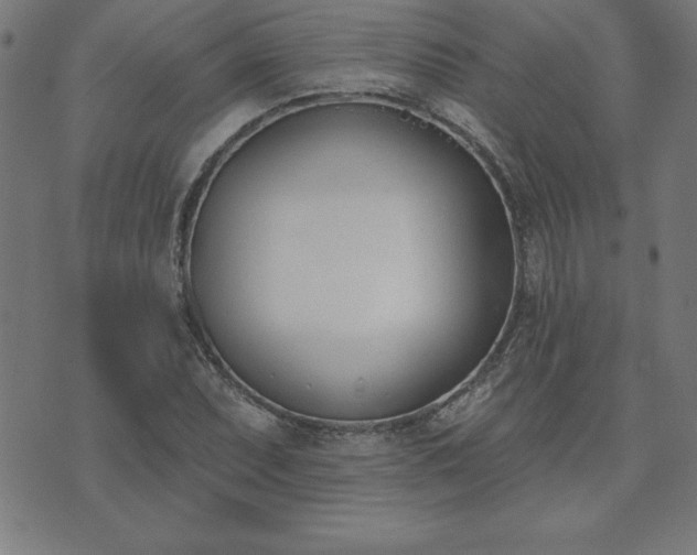 X0000073971071200608211224
