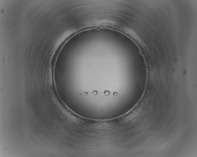 X0000073971079200608211224