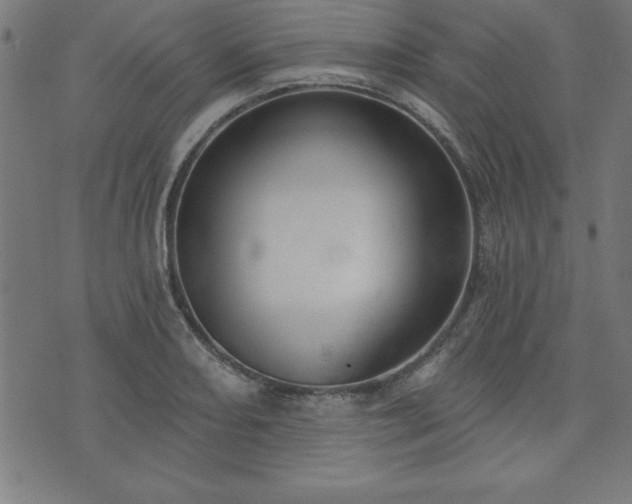 X0000073971082200608211224
