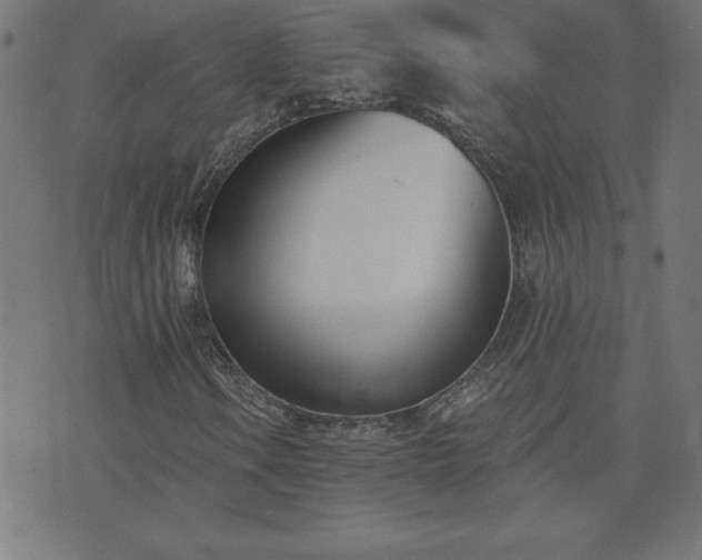 X0000073971106200608211223