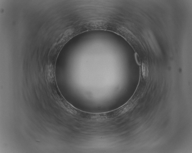 X0000073971107200608211223