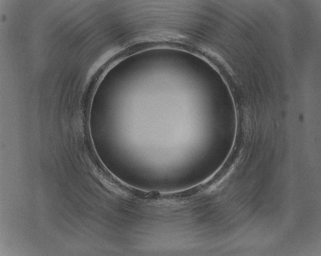X0000073971114200608211223