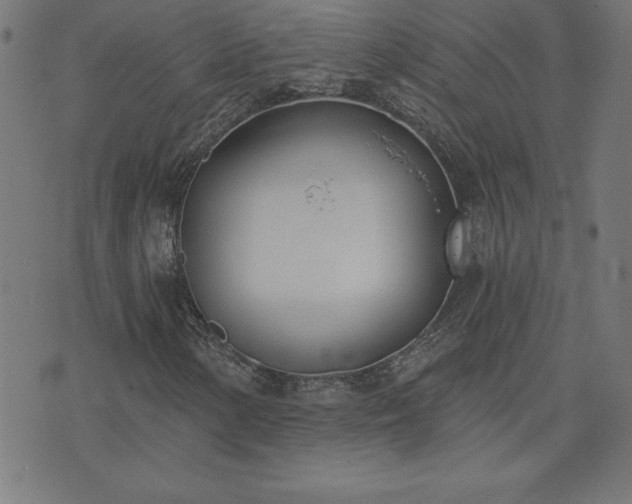 X0000073971154200608211223