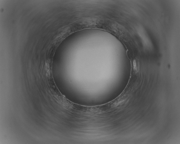 X0000073971203200608211221