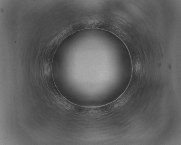X0000073971204200608211221