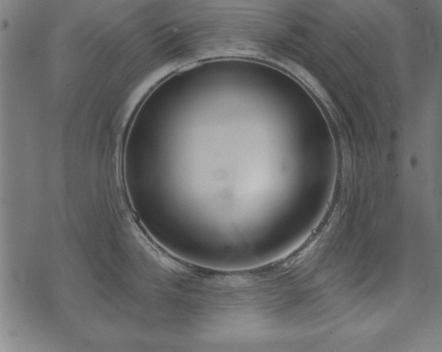 X0000073971246200608211222