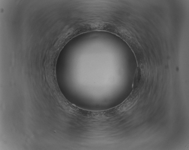 X0000073971249200608211221