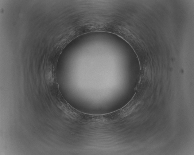 X0000073971250200608211221