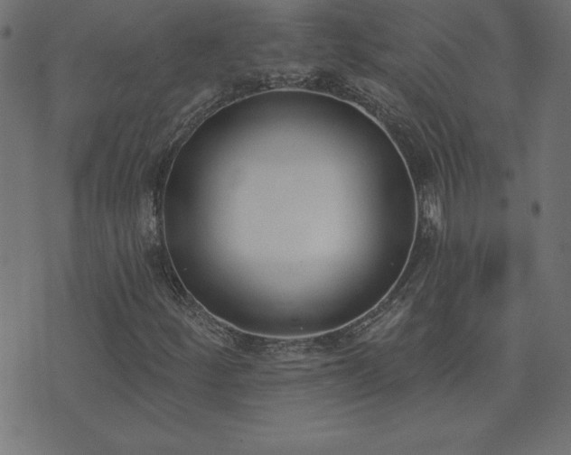 X0000073971252200608211221